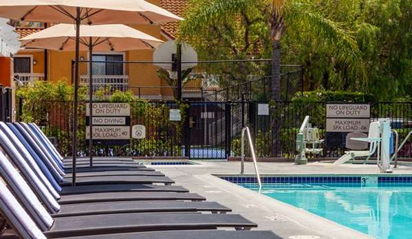 Pool - Clementine Hotel & Suites Anaheim - I-5, Exit 109