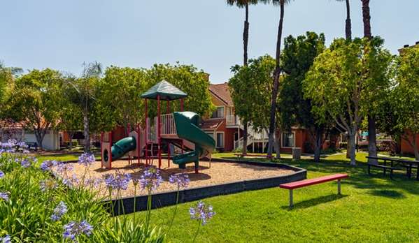 Recreation - Clementine Hotel & Suites Anaheim - I-5, Exit 109