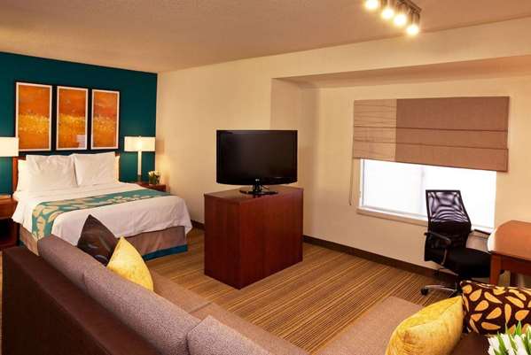 Suite - Hawthorn Suites by Wyndham Tysons Corner Vienna