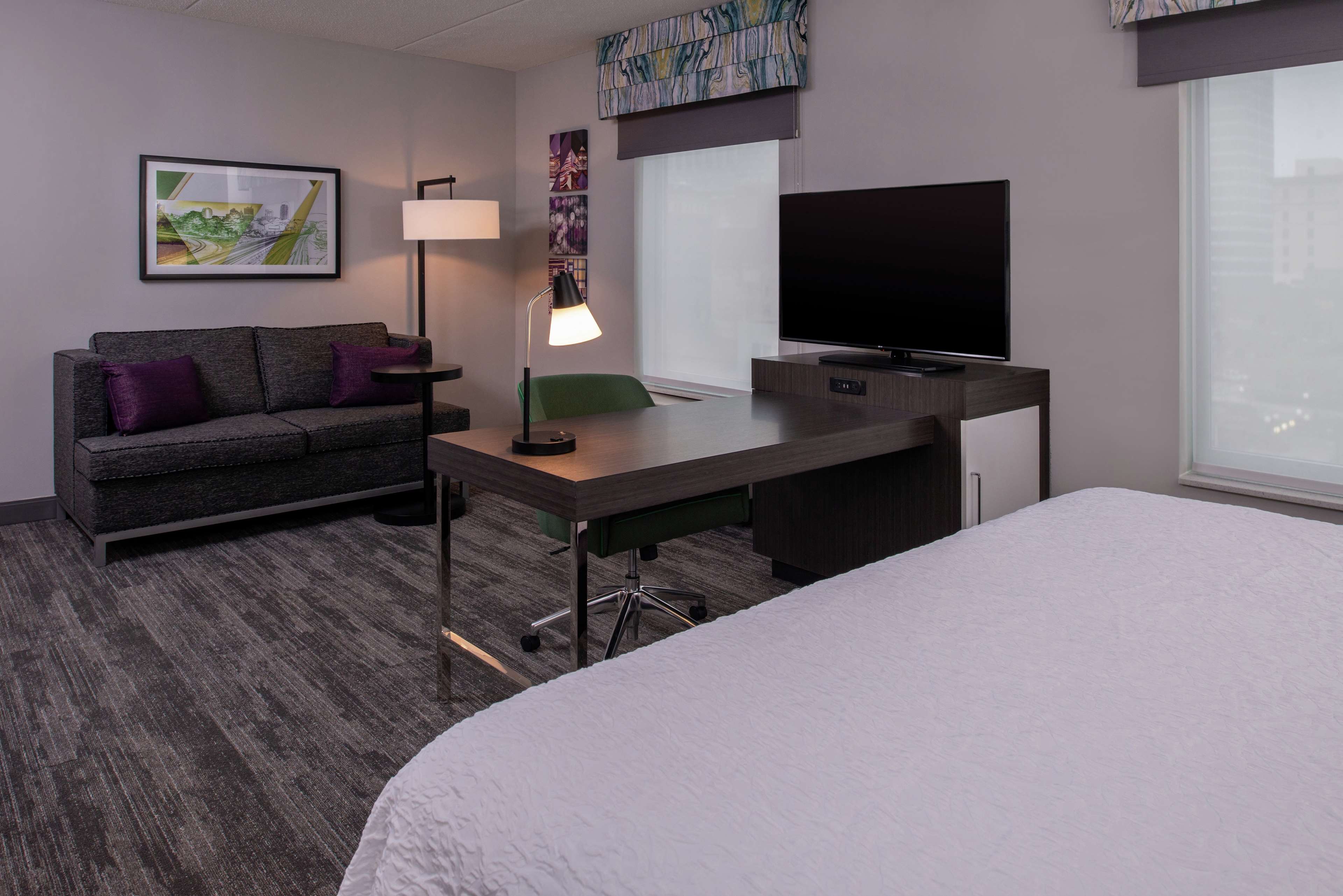 Hampton Inn & Suites by Hilton Winston-Salem Downtown Room Type - 1KNG STDO MIC FRIDG WTBR