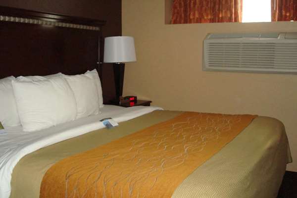  - Travelodge Ozone Park