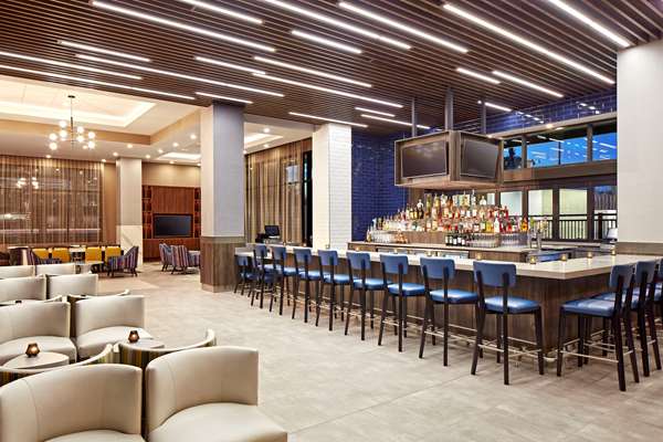 Bar - Cambria Hotel Resort Area Anaheim - I-5, Exit 109