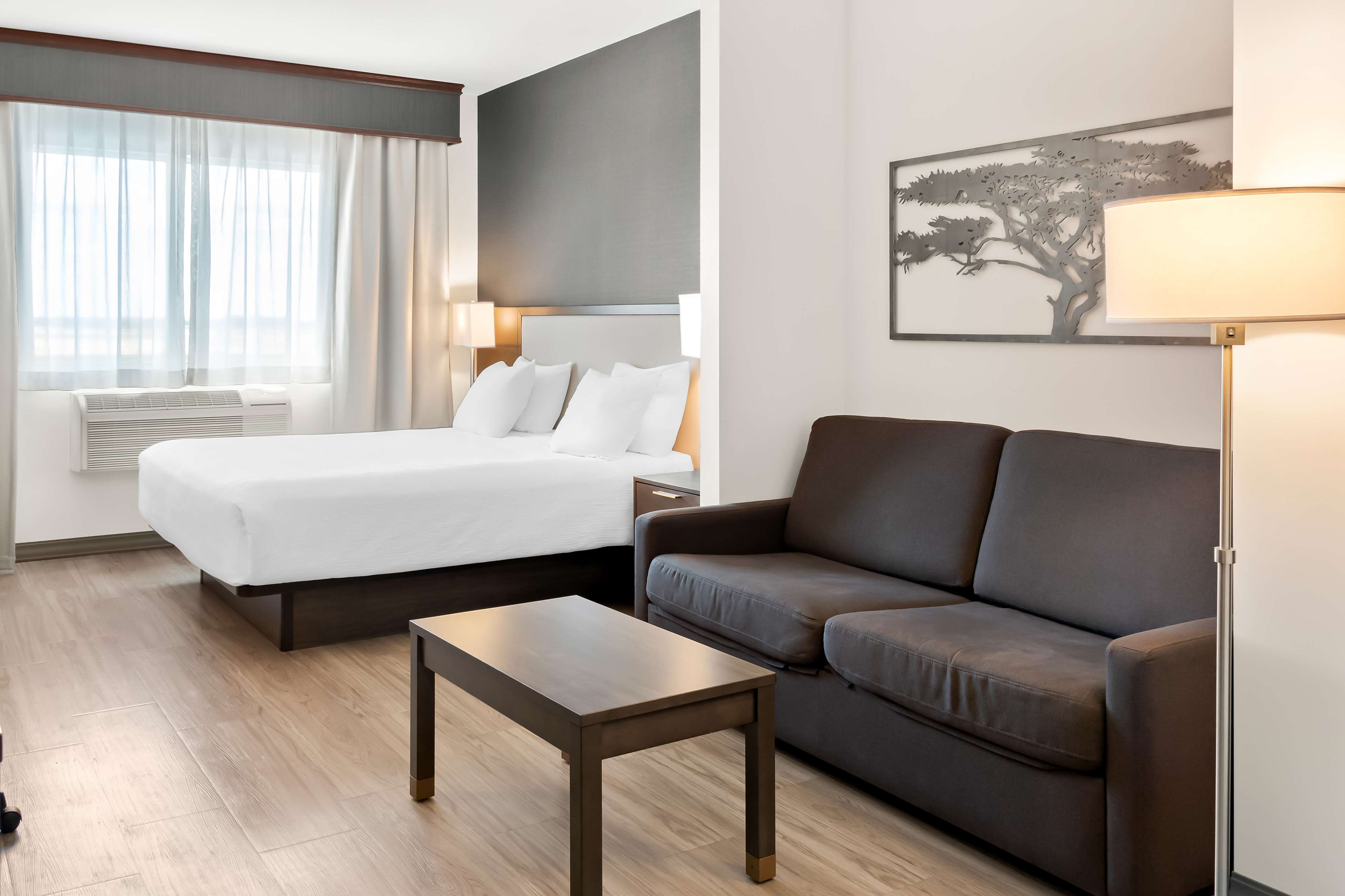 Best Western Plus Morden Room Type - Accessible - Suite 1 King Bed, Mobility Accessible, Bathtub, Sofabed, Microwave And Refrigerator, No