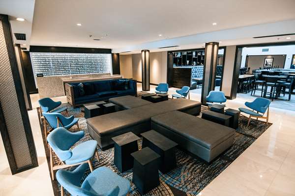 Bar - DoubleTree by Hilton Hotel Lubbock