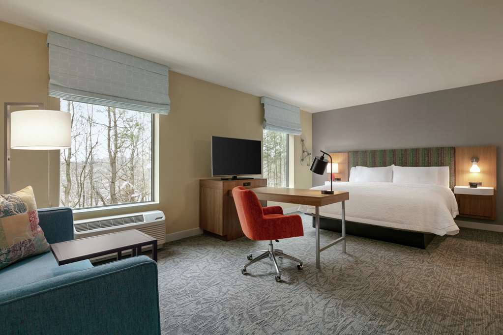 Hampton Inn & Suites by Hilton Johns Creek Room Type - 1 KG HR ACC FRG MIC STE NS