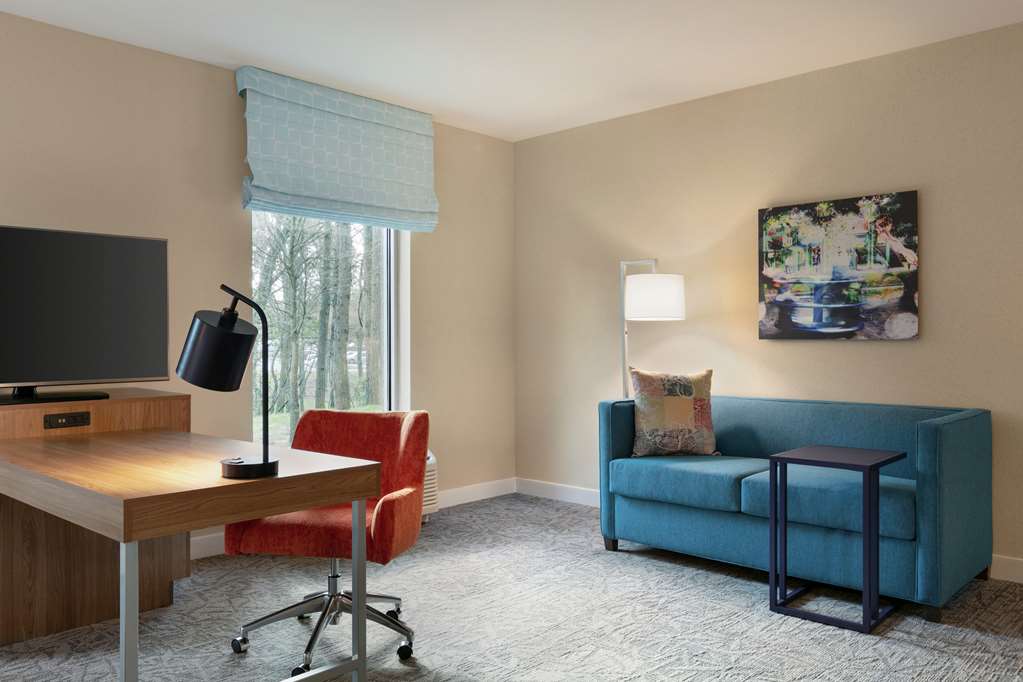 Hampton Inn & Suites by Hilton Johns Creek Room Type - 1 KING MOB HR ACC RI SHWR