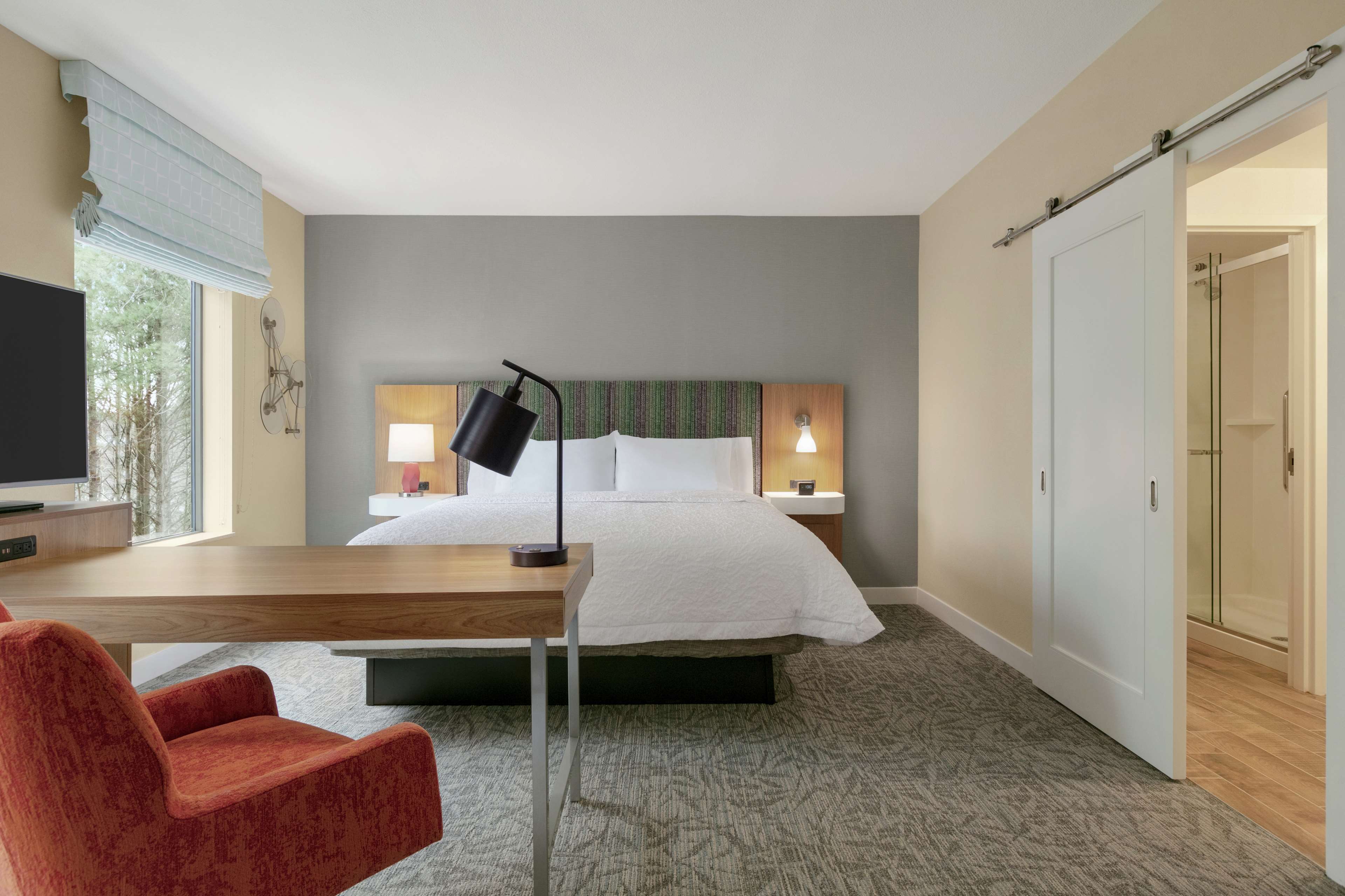 Hampton Inn & Suites by Hilton Johns Creek Room Type - 1KN STDO MIC FRIDG WTBR NS
