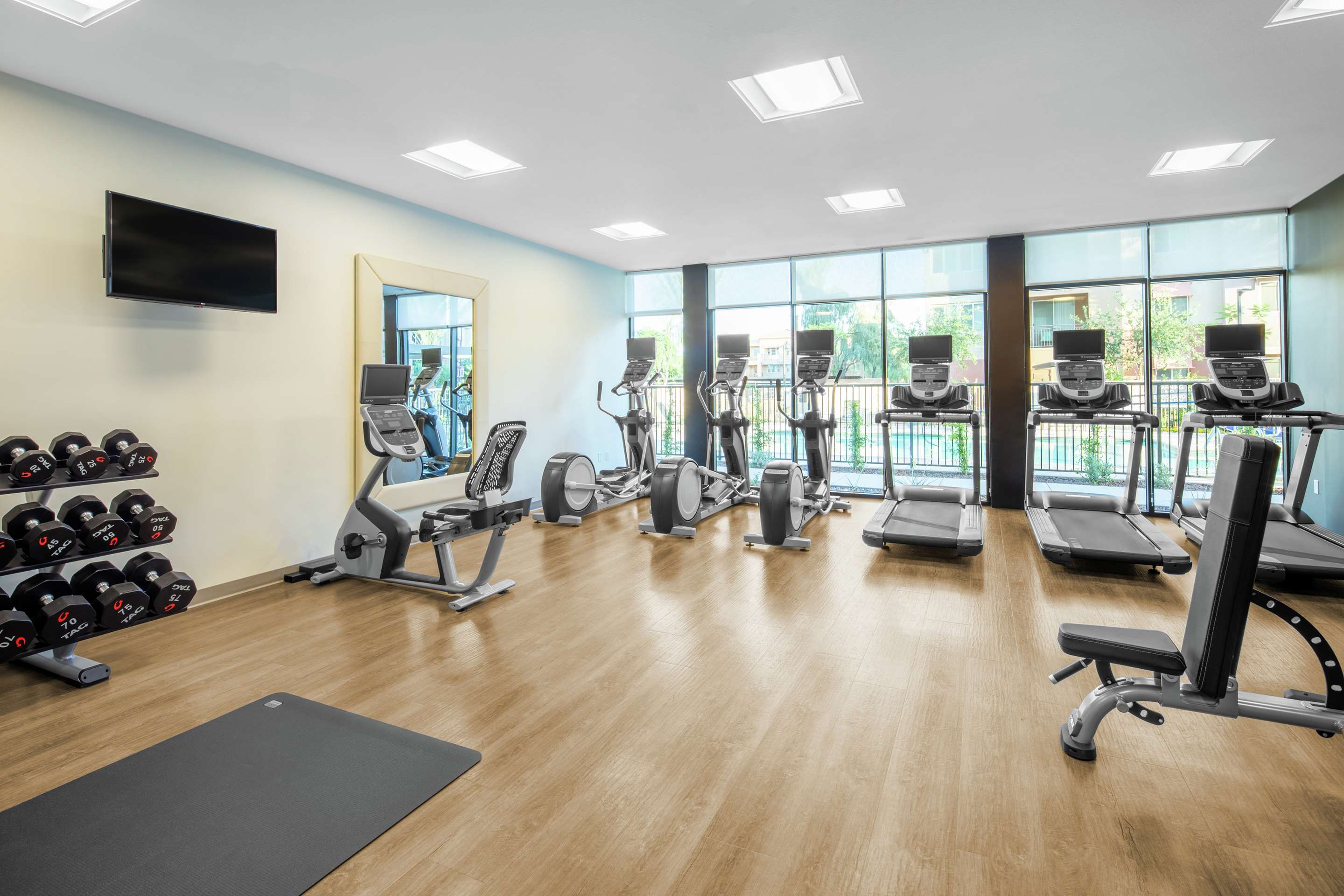 Health club fitness center gym