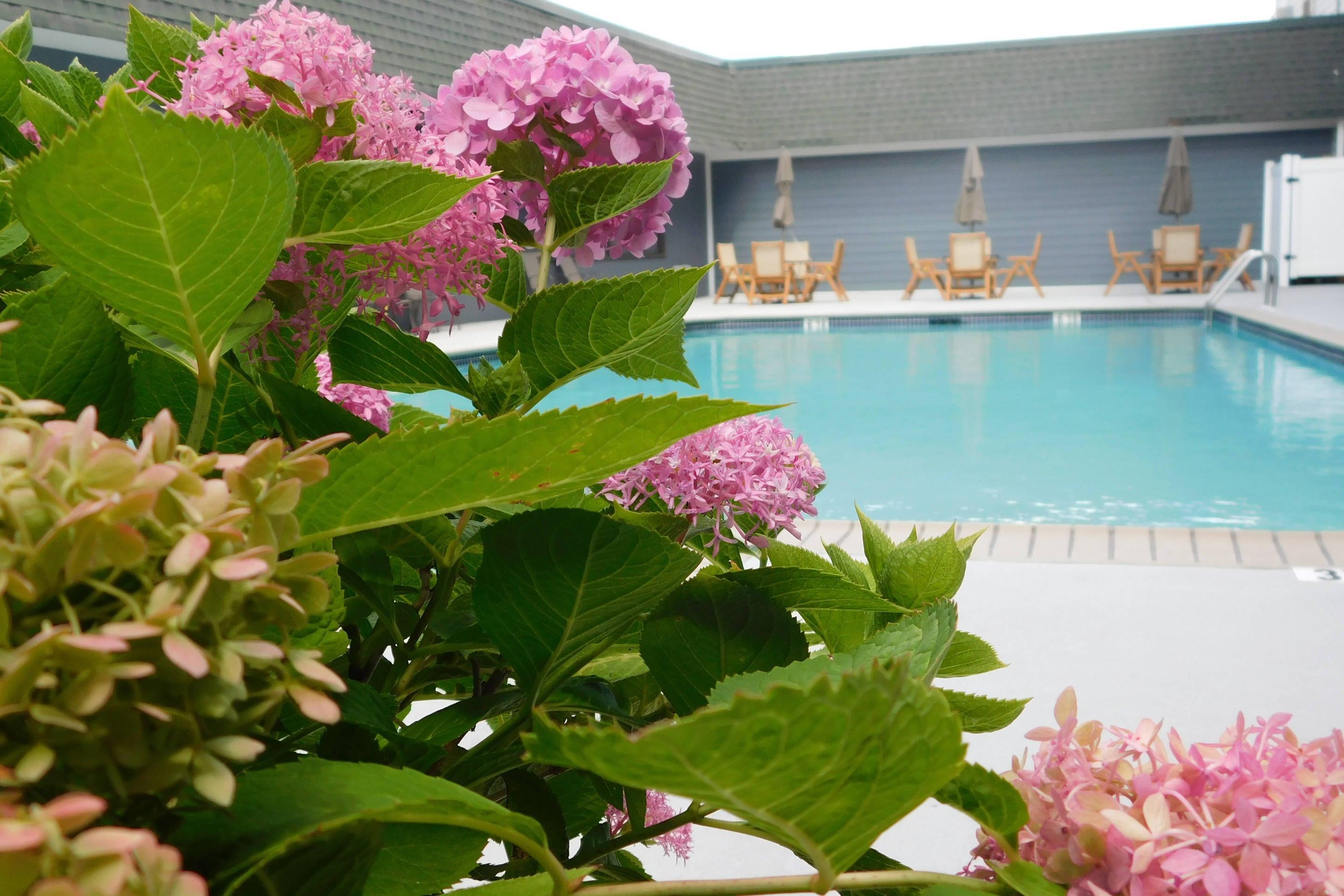 Outdoor pool | Comfort Inn & Suites Glen Mills - Concordville