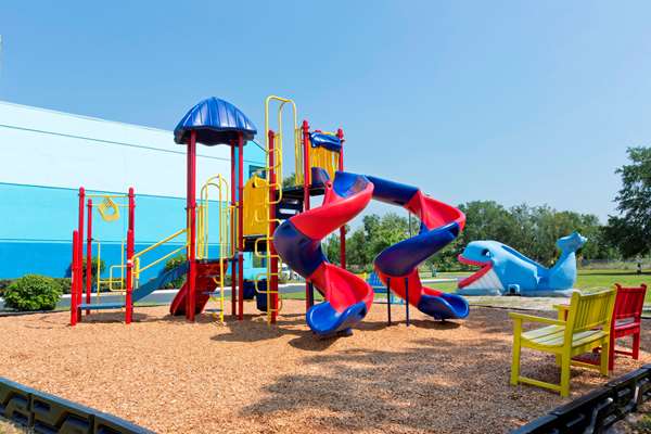 Recreation - Flamingo Waterpark Resort Kissimmee - FL Turnpike, Exit 244