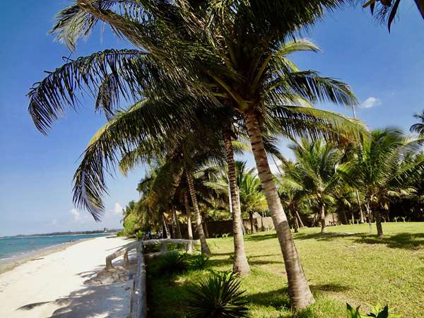 On-Site,Beach
