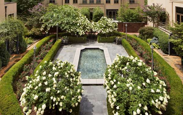 Pool - Waldorf Astoria Hotel Buckhead Atlanta