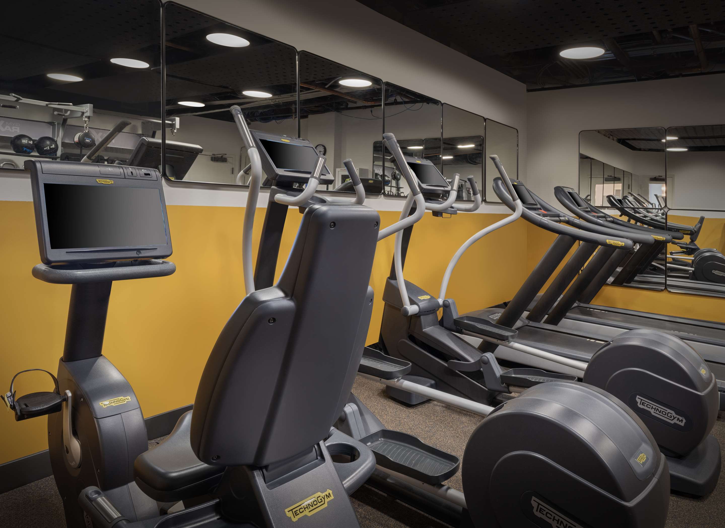 Health club fitness center gym
