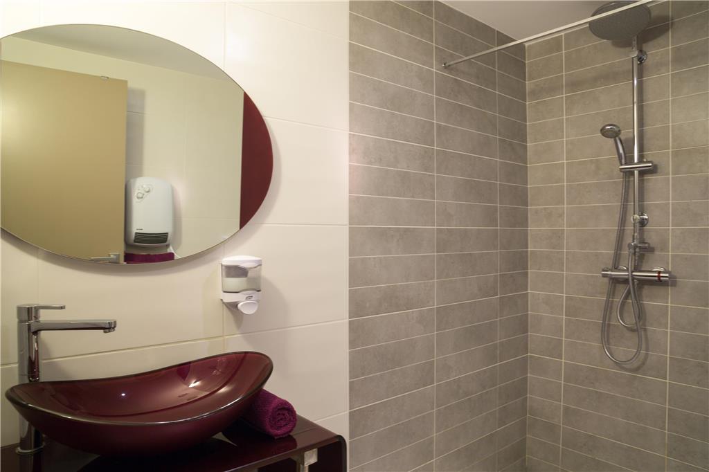 OG CITY HOTEL DES ARTS MONTAUBAN-guestroom-Guest Room,Bathroom,On-Site.jpg