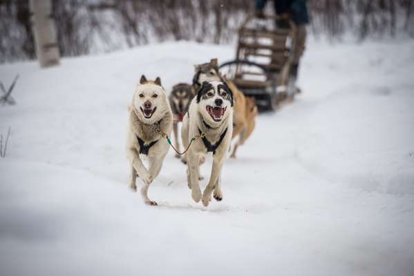 Recreation - Auberge Du Lac Taureau Saint Michel des Saintes