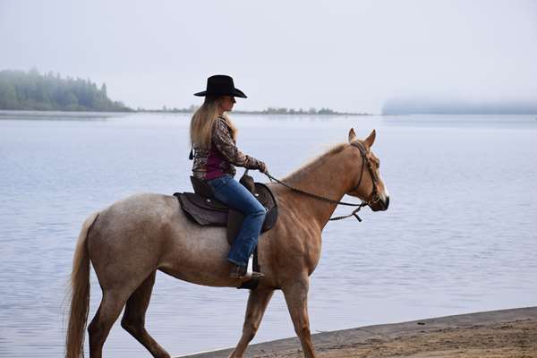 Recreation - Auberge Du Lac Taureau Saint Michel des Saintes