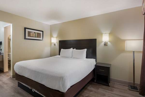  - SureStay Plus Hotel by Best Western Jackson - I-40, Exit 80