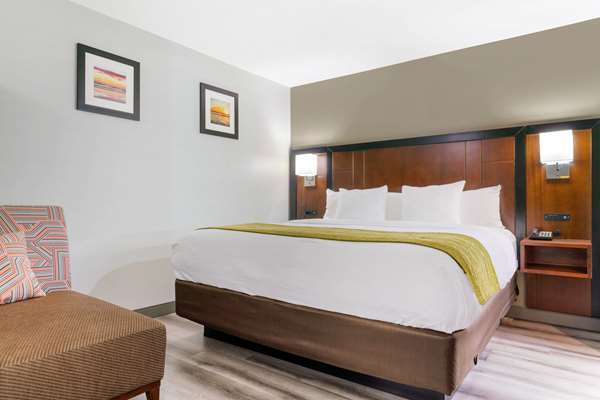 Suite - Comfort Inn Antioch