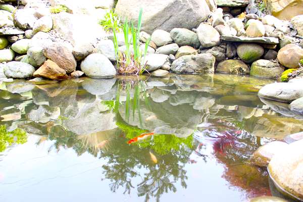 Spa - Chrysalis Inn & Spa Bellingham