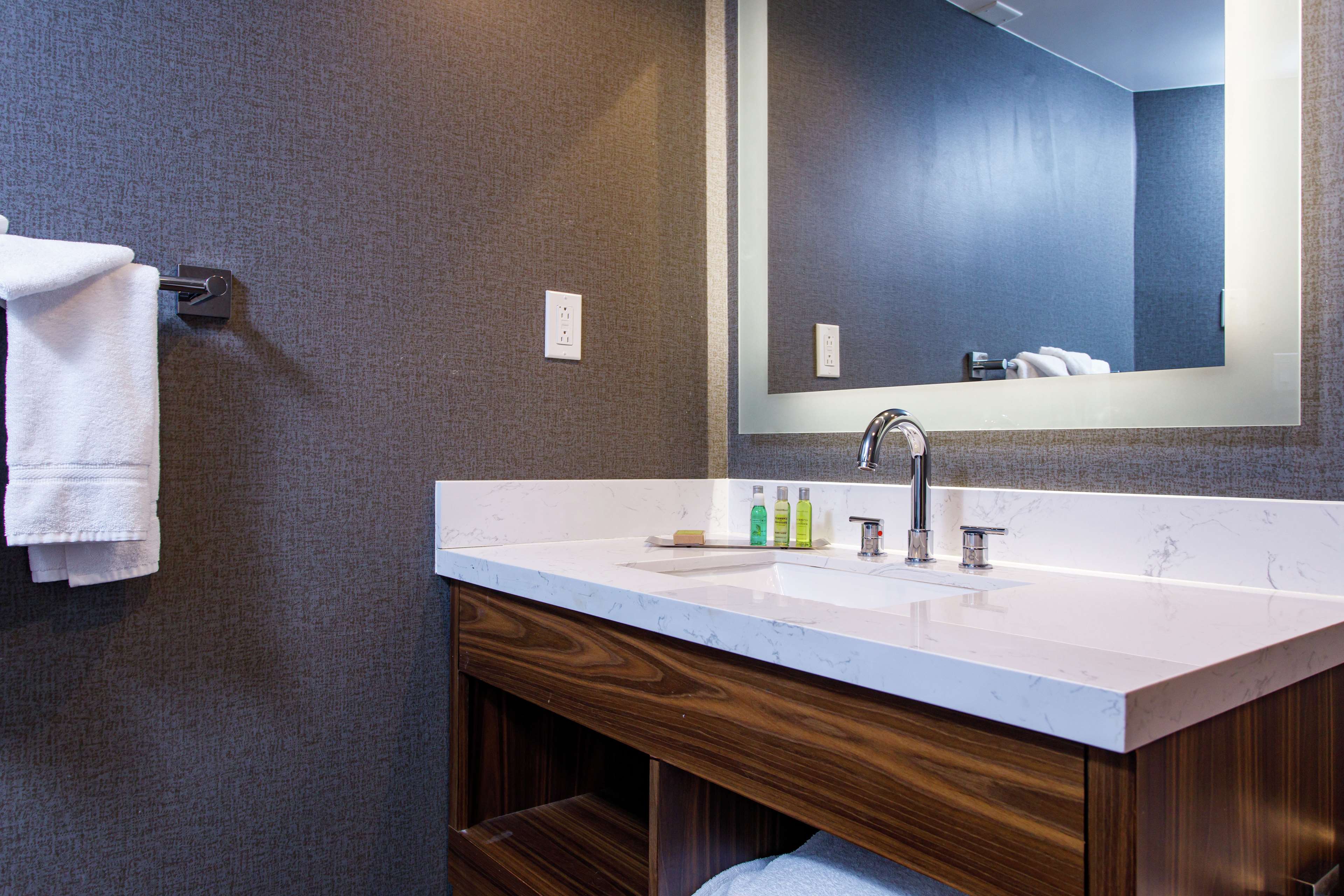 DoubleTree by Hilton Appleton Room Type - 1 KING JUNIOR SUITE
