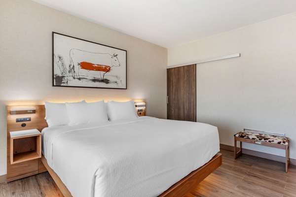 Suite - Cambria Hotel Richardson