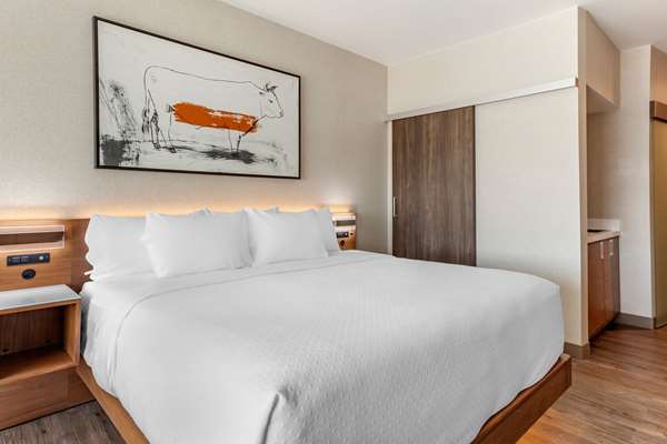 Suite - Cambria Hotel Richardson