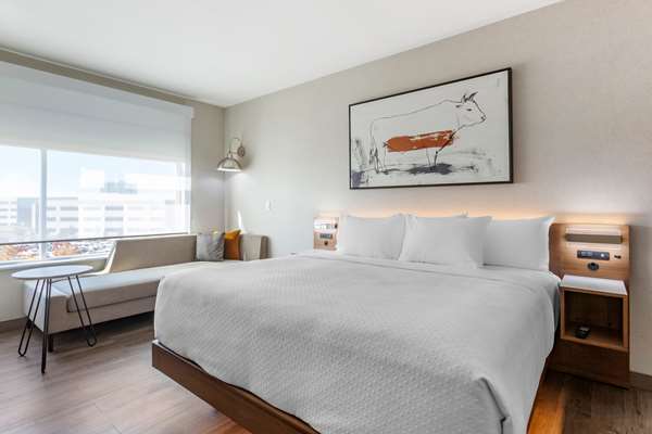 Suite - Cambria Hotel Richardson