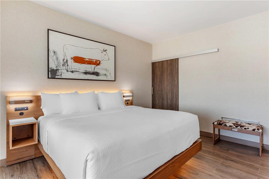 CAMBRIA HOTEL RICHARDSON - DALLAS-guestroom-Guest Room,Suite,On-Site.jpg