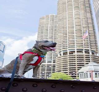 Exterior view - Kinzie Hotel Chicago