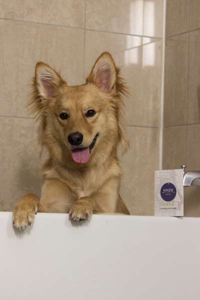  - Kinzie Hotel Chicago