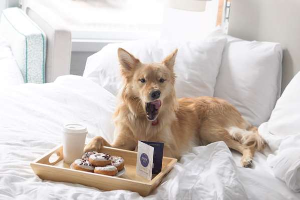  - Kinzie Hotel Chicago