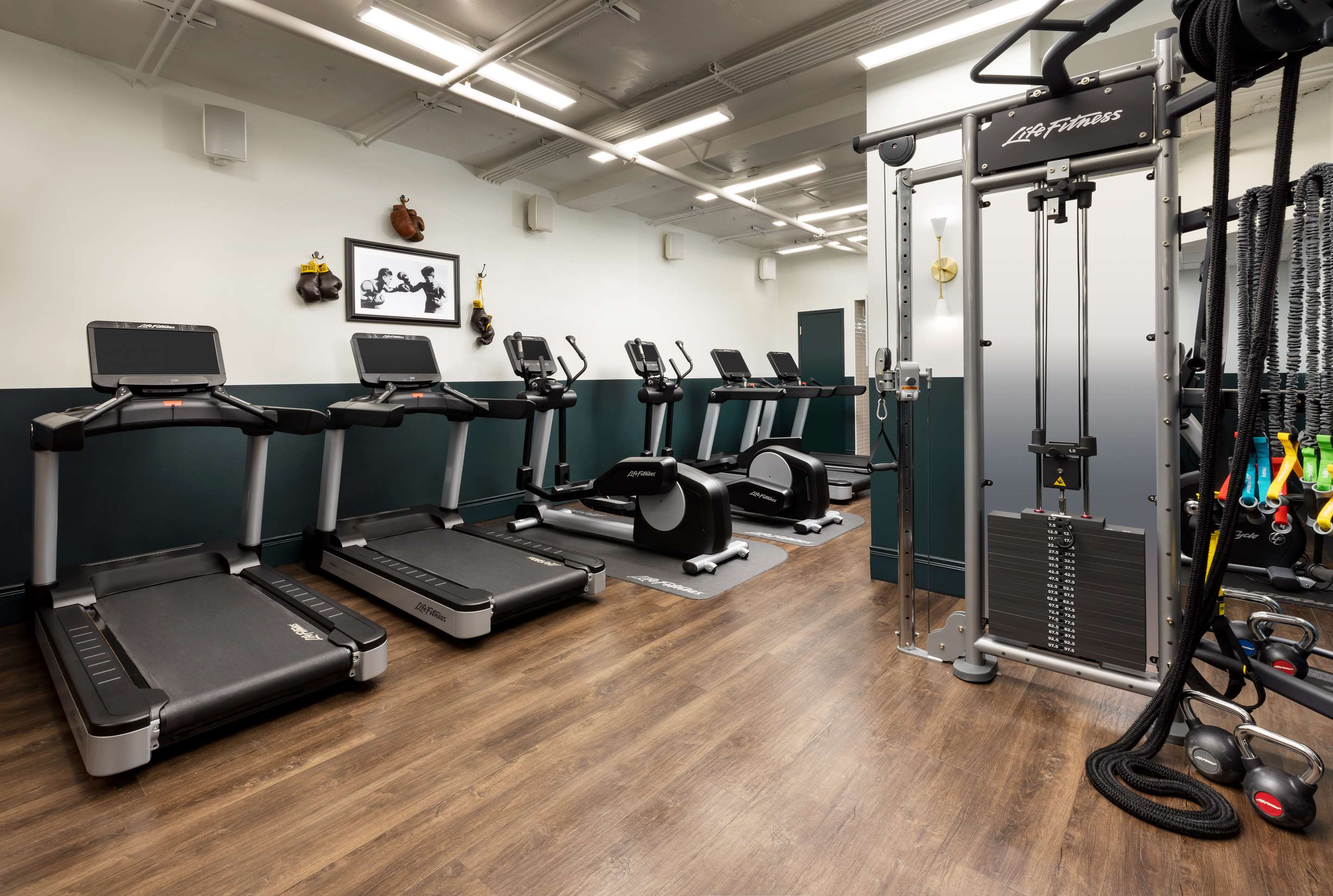 Health club fitness center gym