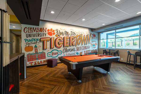 Recreation - Tru by Hilton Hotel Seneca