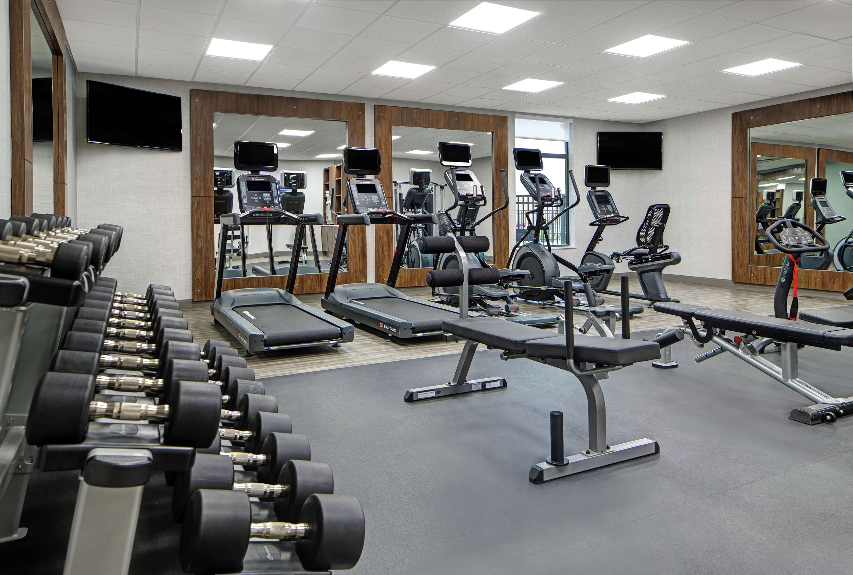 Health club fitness center gym