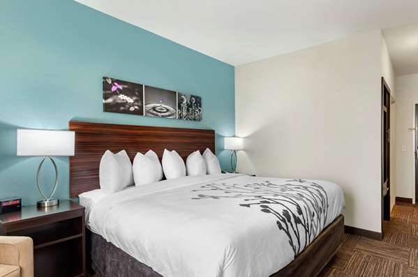  - Sleep Inn Lancaster - I-20, Exit 466