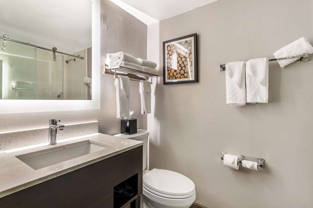 Best Western Atlanta-Marietta Ballpark Hotel-guestroom-Guest Room,Bathroom,On-Site.jpg