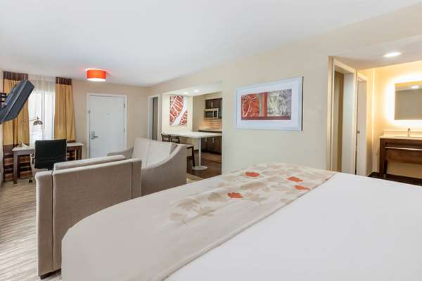 Suite - Hawthorn Suites by Wyndham Southfield