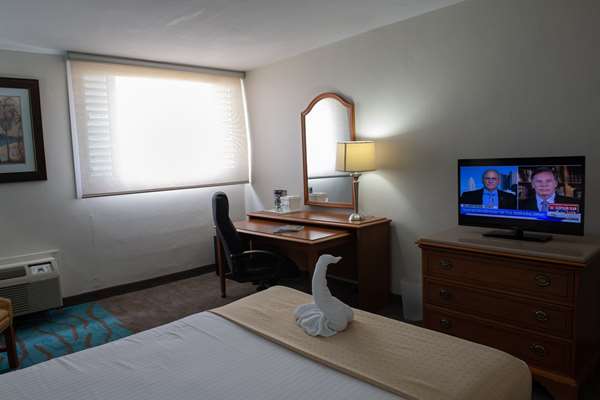 Guest Room,On-Site