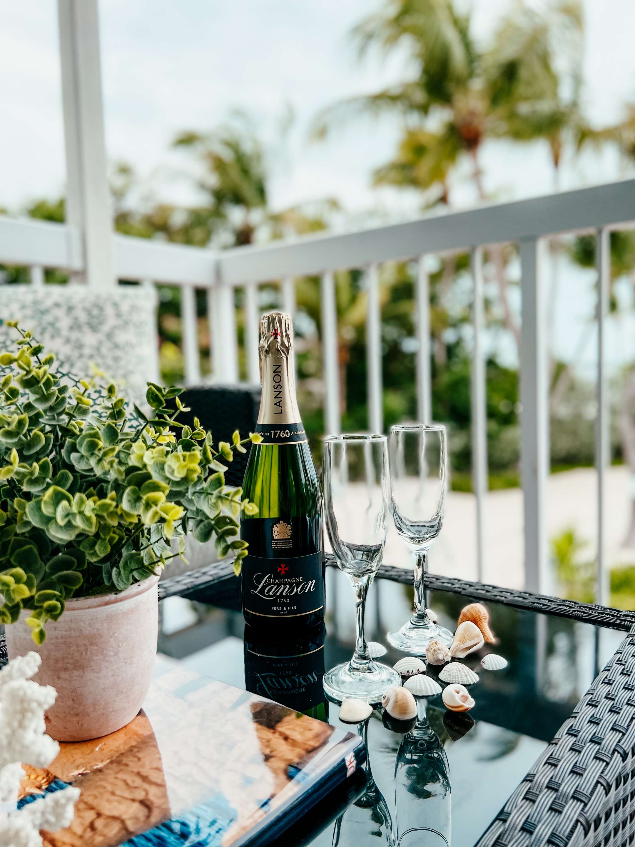 IMG jpg | Bayside Inn Key Largo