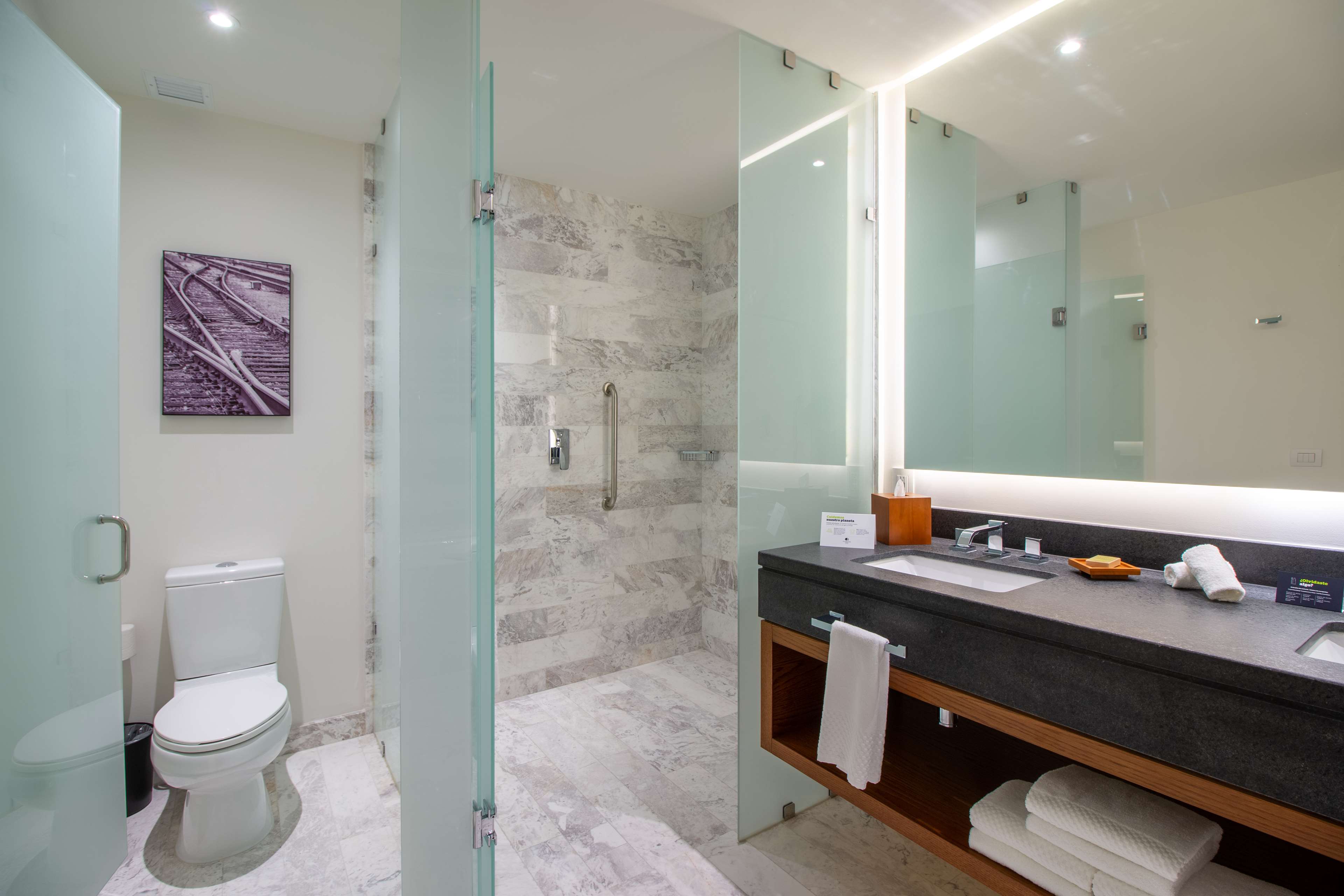 Doubletree By Hilton Celaya Room Type - 1 KING BED 2 ROOM SUITE