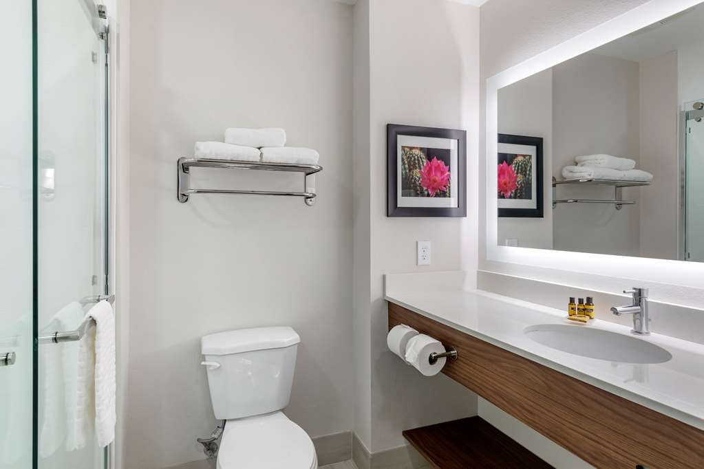 Best Western Plus Coachella Valley Inn & Suites-guestroom-Guest Room,Bathroom,On-Site.jpg