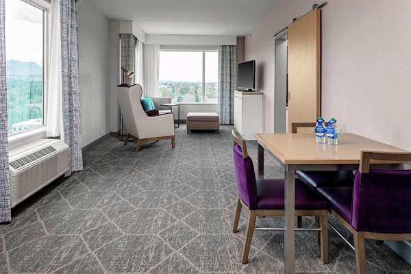  - Hilton Garden Inn Downtown Colorado Springs - I-25, Exit 142