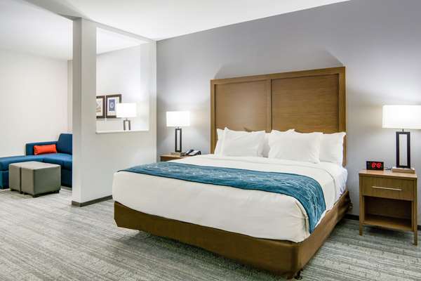 Suite - Comfort Suites South Desoto - I-35, Exit 416