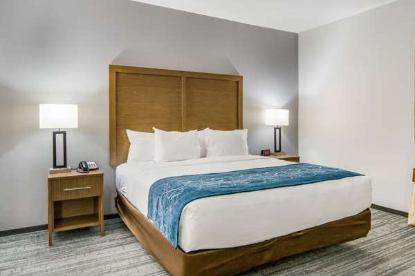 Suite - Comfort Suites South Desoto - I-35, Exit 416