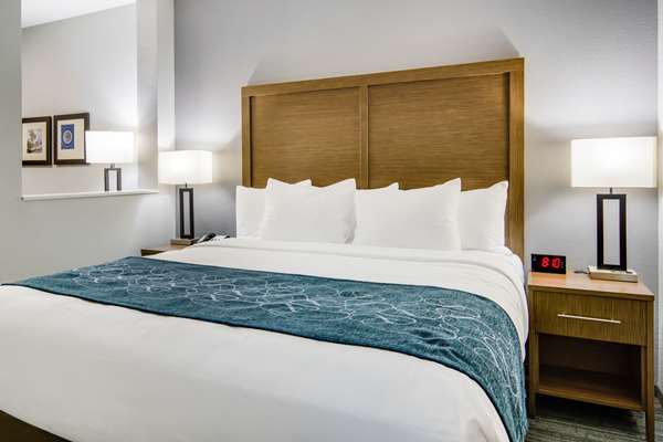 Suite - Comfort Suites South Desoto - I-35, Exit 416
