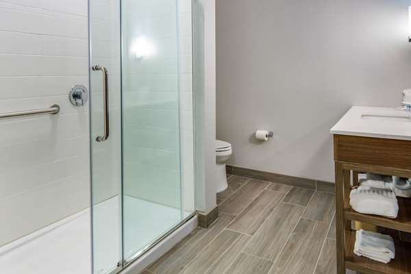 Suite - Comfort Suites South Desoto - I-35, Exit 416