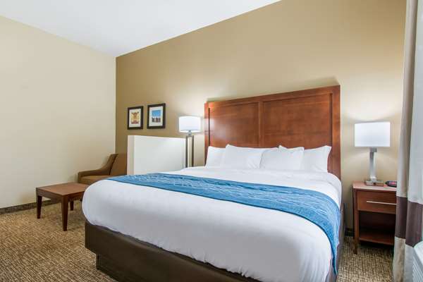 Suite - Comfort Inn & Suites Harrisburg - I-83, Exit 48