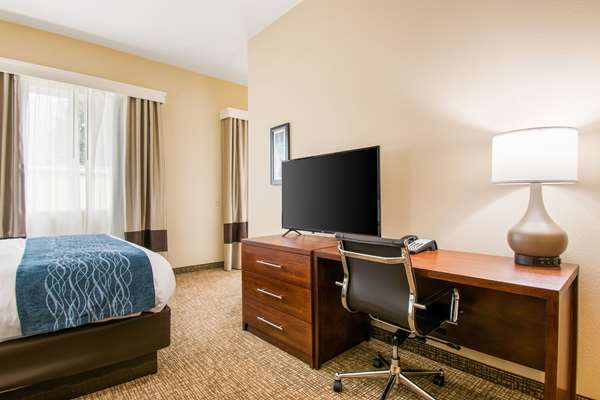 Suite - Comfort Inn & Suites Harrisburg - I-83, Exit 48