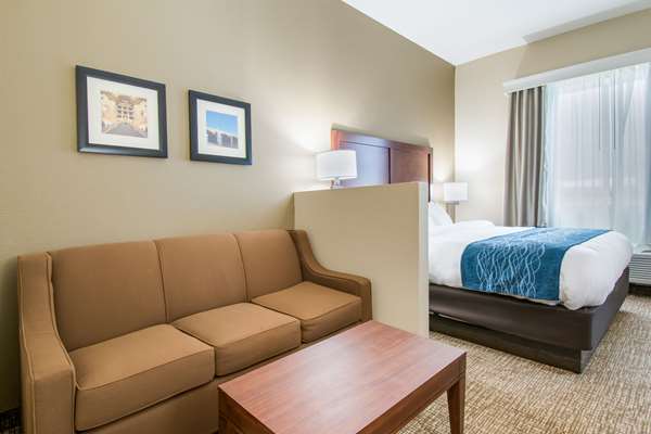 Suite - Comfort Inn & Suites Harrisburg - I-83, Exit 48