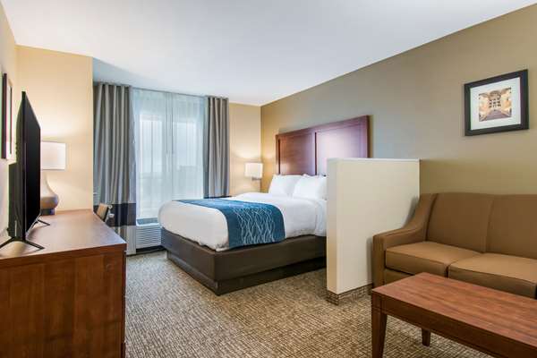 Suite - Comfort Inn & Suites Harrisburg - I-83, Exit 48